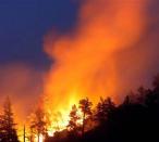 Наименьшую угрозу представляют горящие леса в Красноселькупском районе